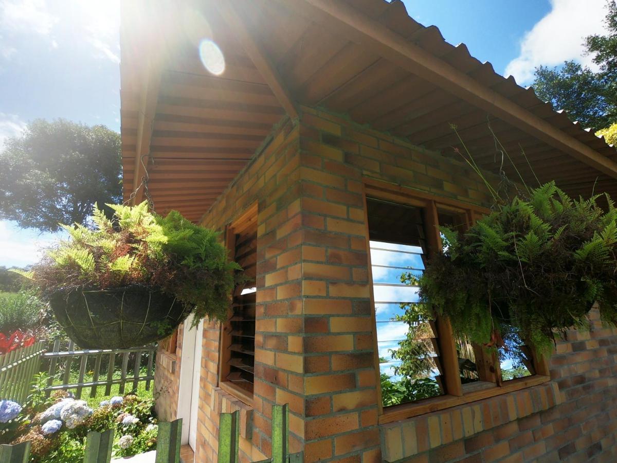 Tribu Ecohostal Los Santos  Extérieur photo
