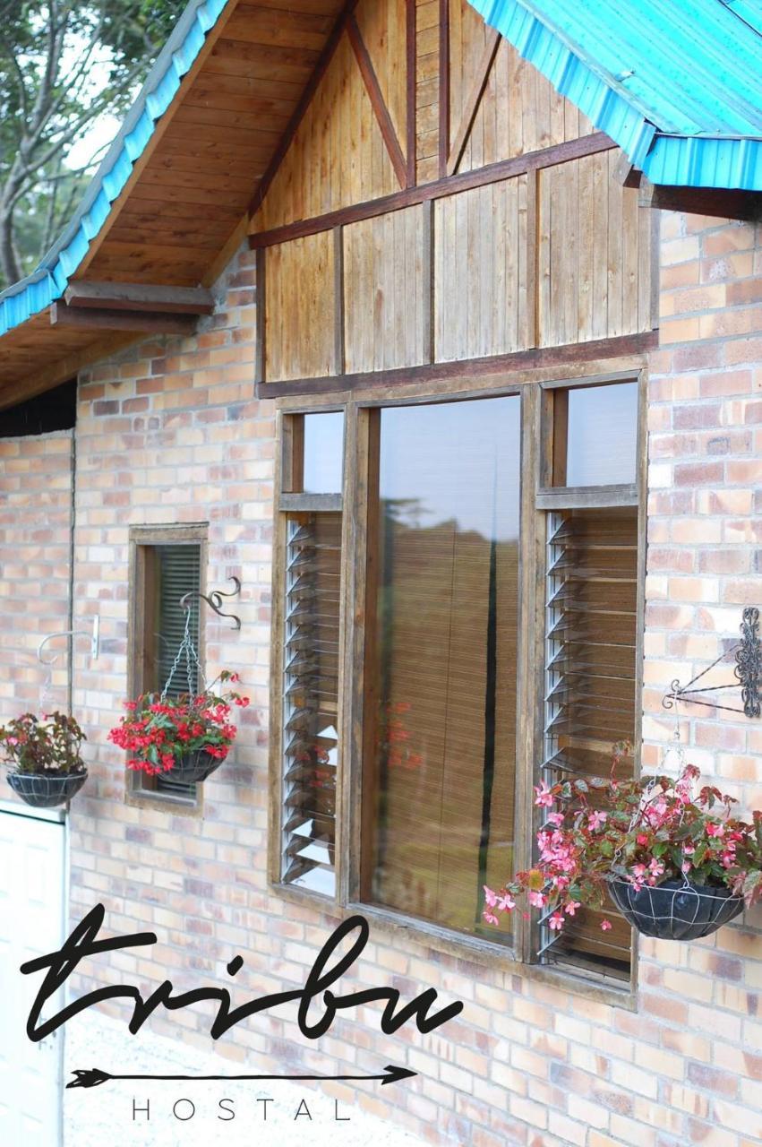 Tribu Ecohostal Los Santos  Extérieur photo
